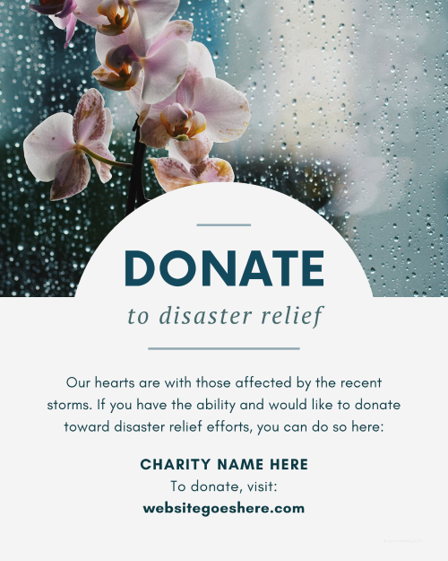 CAIG5843-Donate to Disaster Relief.png