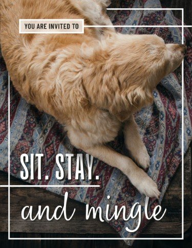 CA5781-Sit Stay Mingle Yappy Hour Invite.jpg