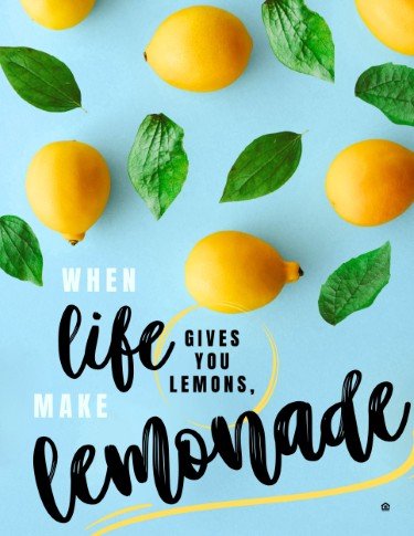 CA5803-Make Lemonade ID.jpg