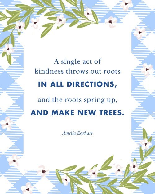 CAIG5850-August 2025 Amelia Earhart Quote.jpg