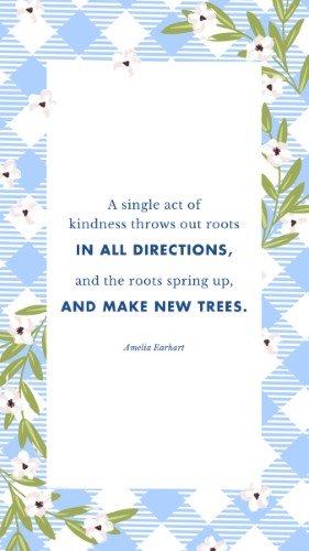 CAIGS3268-August 2025 Amelia Earhart Quote.jpg