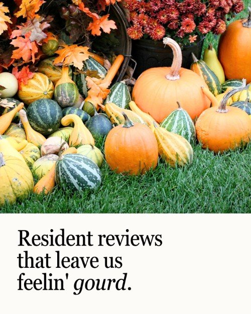CAIG5863-Fall Gourd Resident Reviews.jpg
