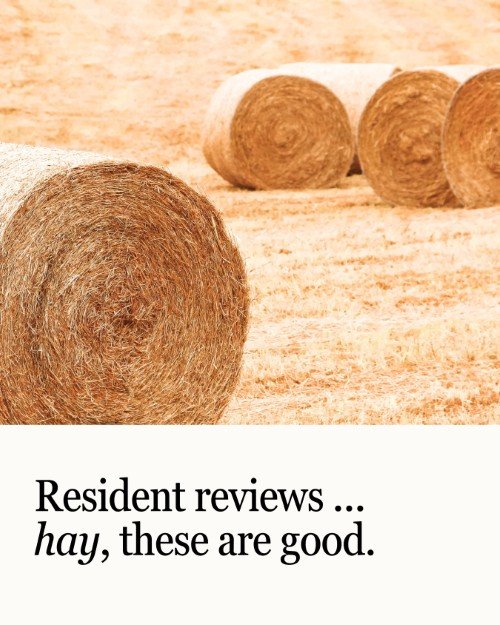 CAIG5864-Hay Resident Reviews.jpg