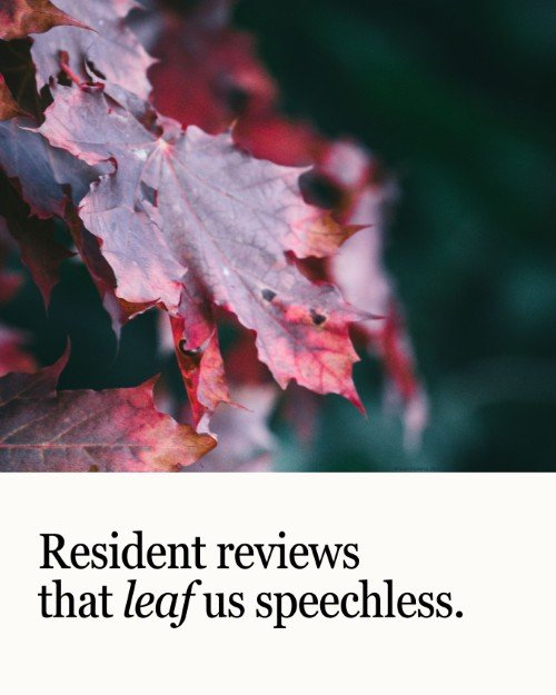 CAIG5865-Fall Leaves Resident Reviews.jpg