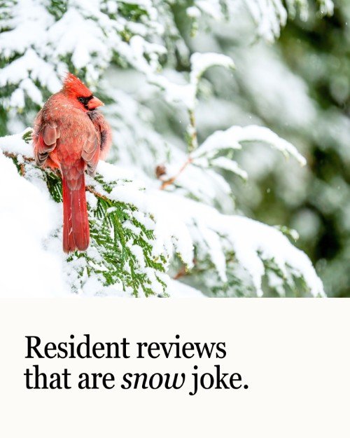 CAIG5867-Cardinal Snow Resident Reviews.jpg