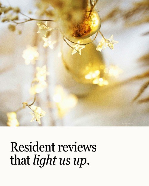 CAIG5868-Twinkle Light Resident Reviews.jpg