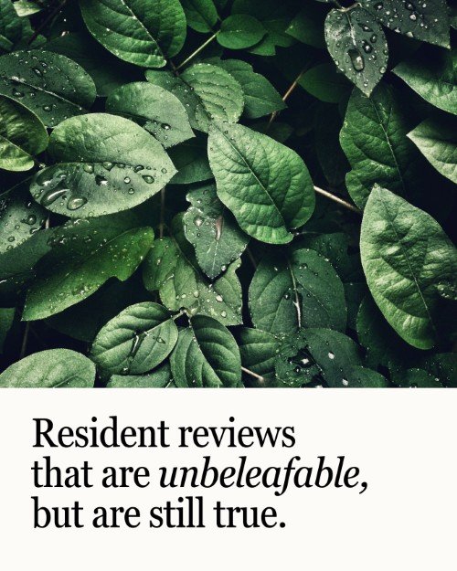 CAIG5869-Unbeleafable Resident Reviews.jpg