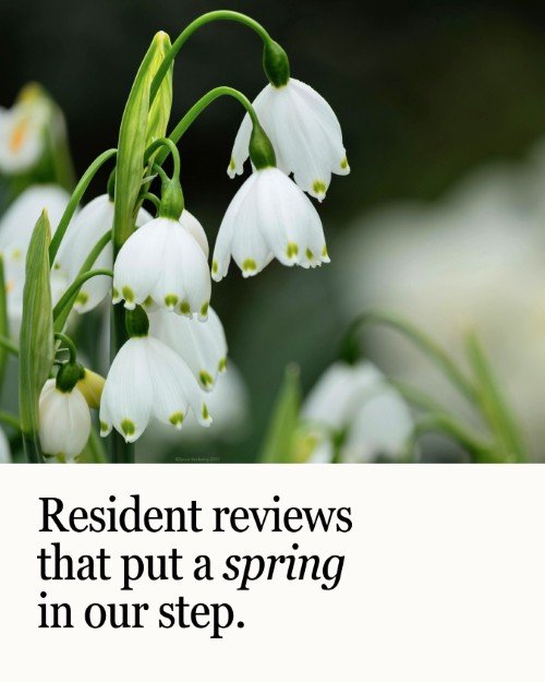 CAIG5870-Spring Bloom Resident Reviews.jpg