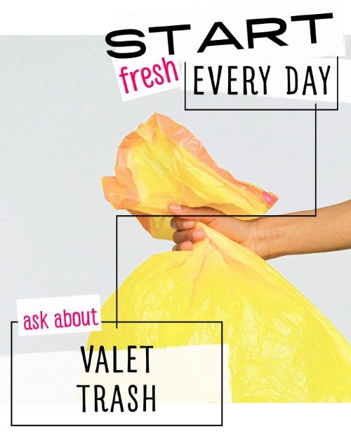 CAIG5881-Every Day Valet Trash Services.jpg