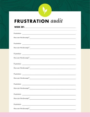 STR1029-Frustration Audit List.jpg
