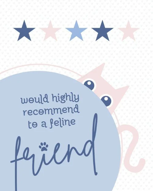 CAIG5931-Meow & Mingle Recommend.jpg