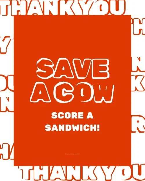 CAIG5953-Flashy Save A Cow.jpg