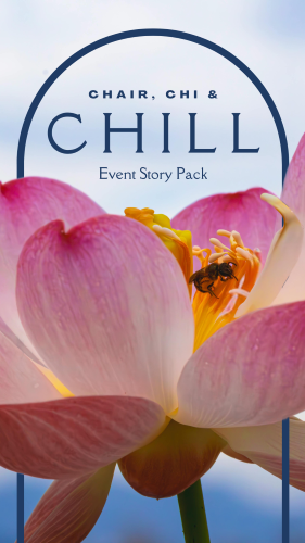 CAIGS3316-Chair, Chi & Chill Story Pack.png