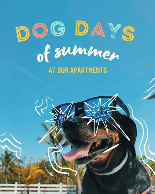 CAIG1392 Dog Days Outreach.jpg