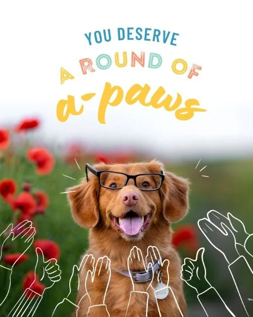 CAIG1399 Dog Days Appreciation.jpg