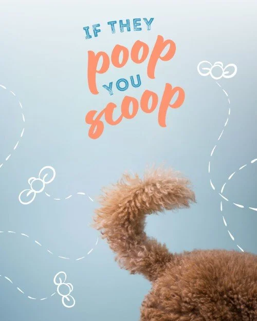 CAIG1400 Dog Days Scoop Poop Notice.jpg