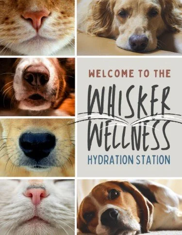 CA5845-Whisker Wellness Yappy Hour Welcome.jpg