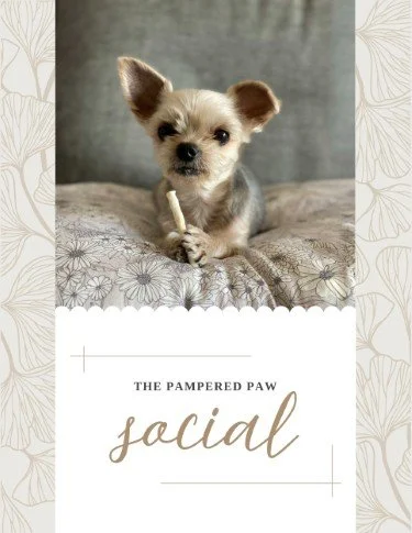 CA5849-Pampered Paw Yappy Hour Sign.jpg