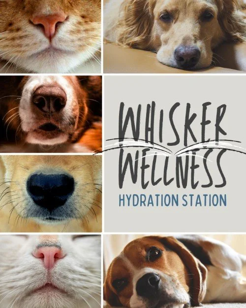 CAIG5980-Whisker Wellness Yappy Hour.jpg