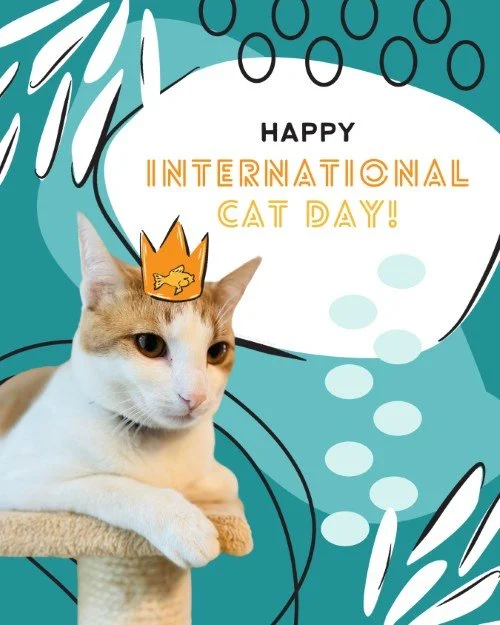 CAIG6013-August Happy Cat Day.jpg