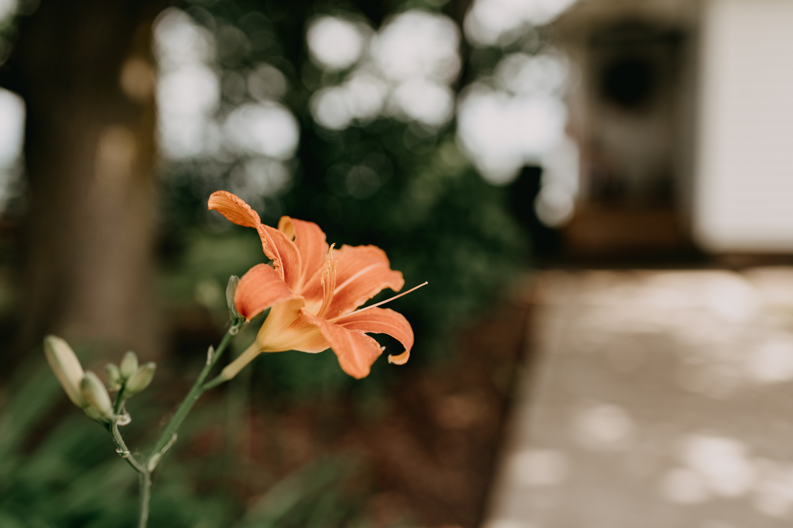 Rochester, NY Wedding Photographer-2.jpg