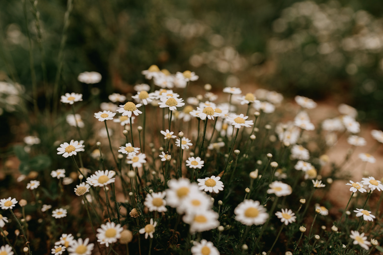 Rochester, NY Wedding Photographer-77.jpg