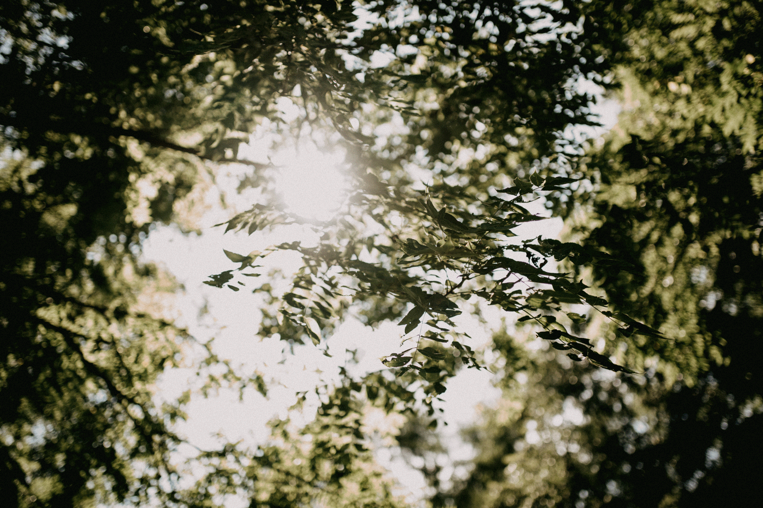 Rochester, NY Wedding Photographer (65a of 149).gif