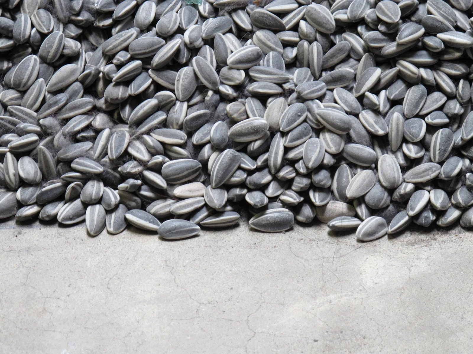 ai-weiwei-sunflower-seeds.jpg