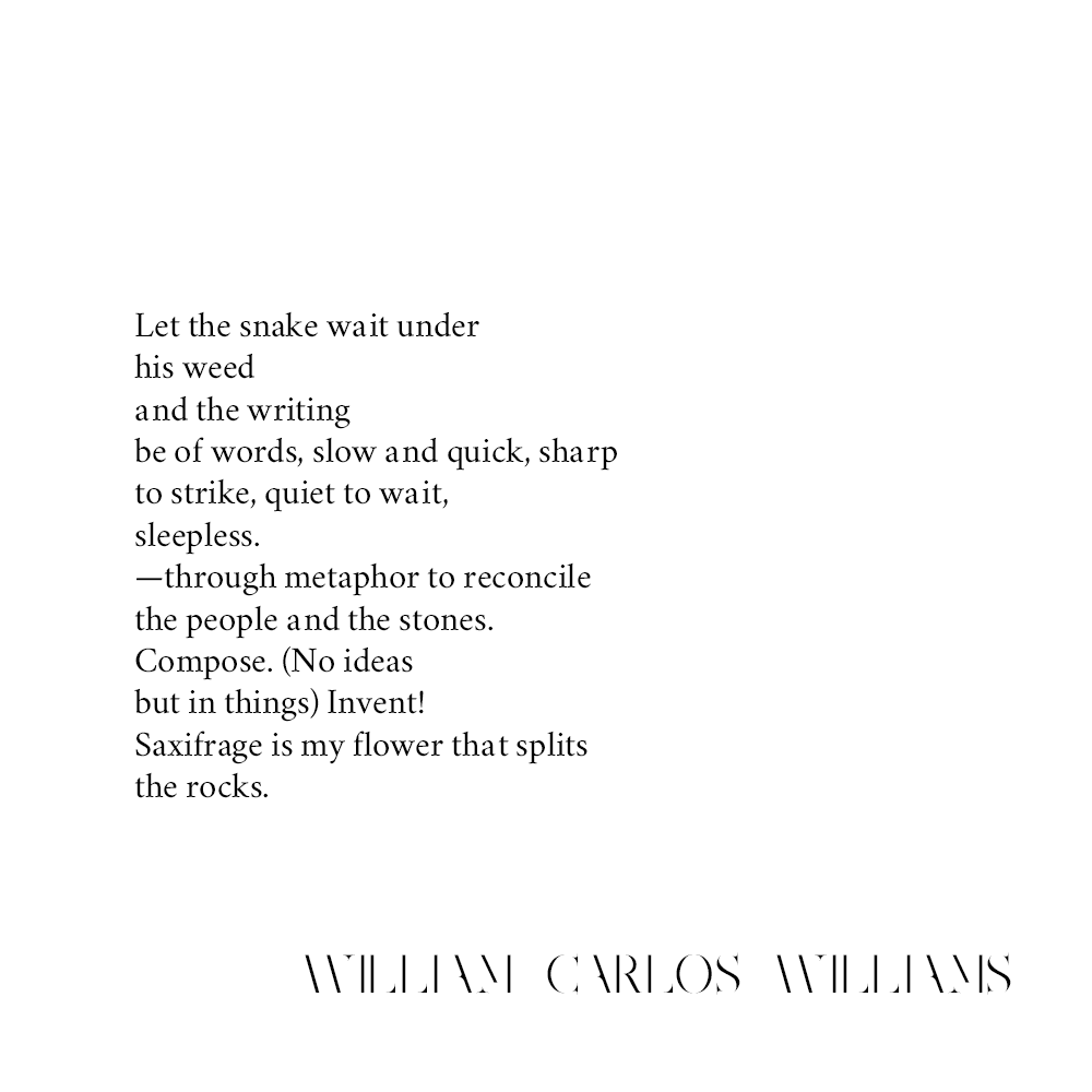 william-carlos-williams-sort-of-a-song.png