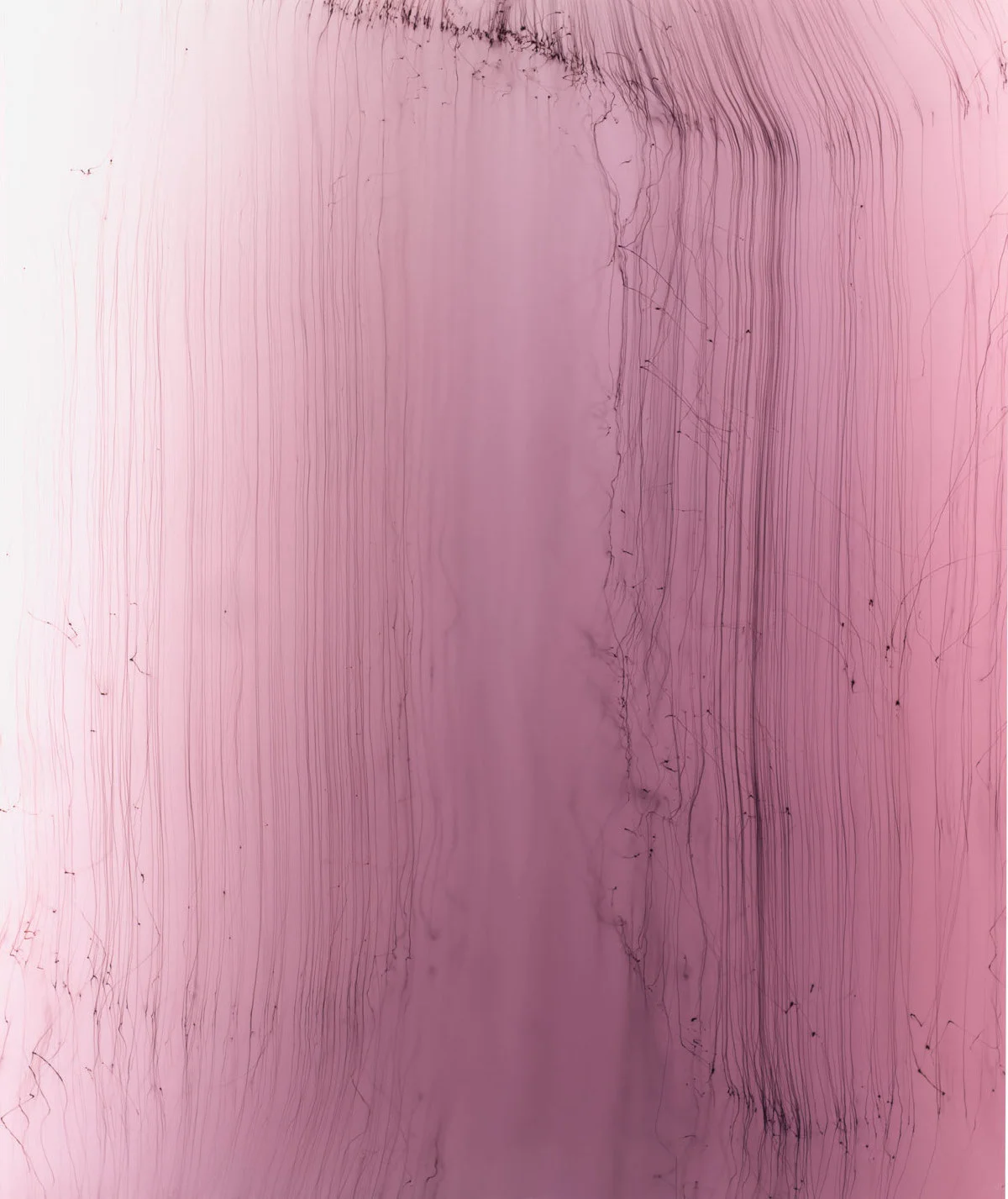 Wolfgang Tillmans, Star Struck #3