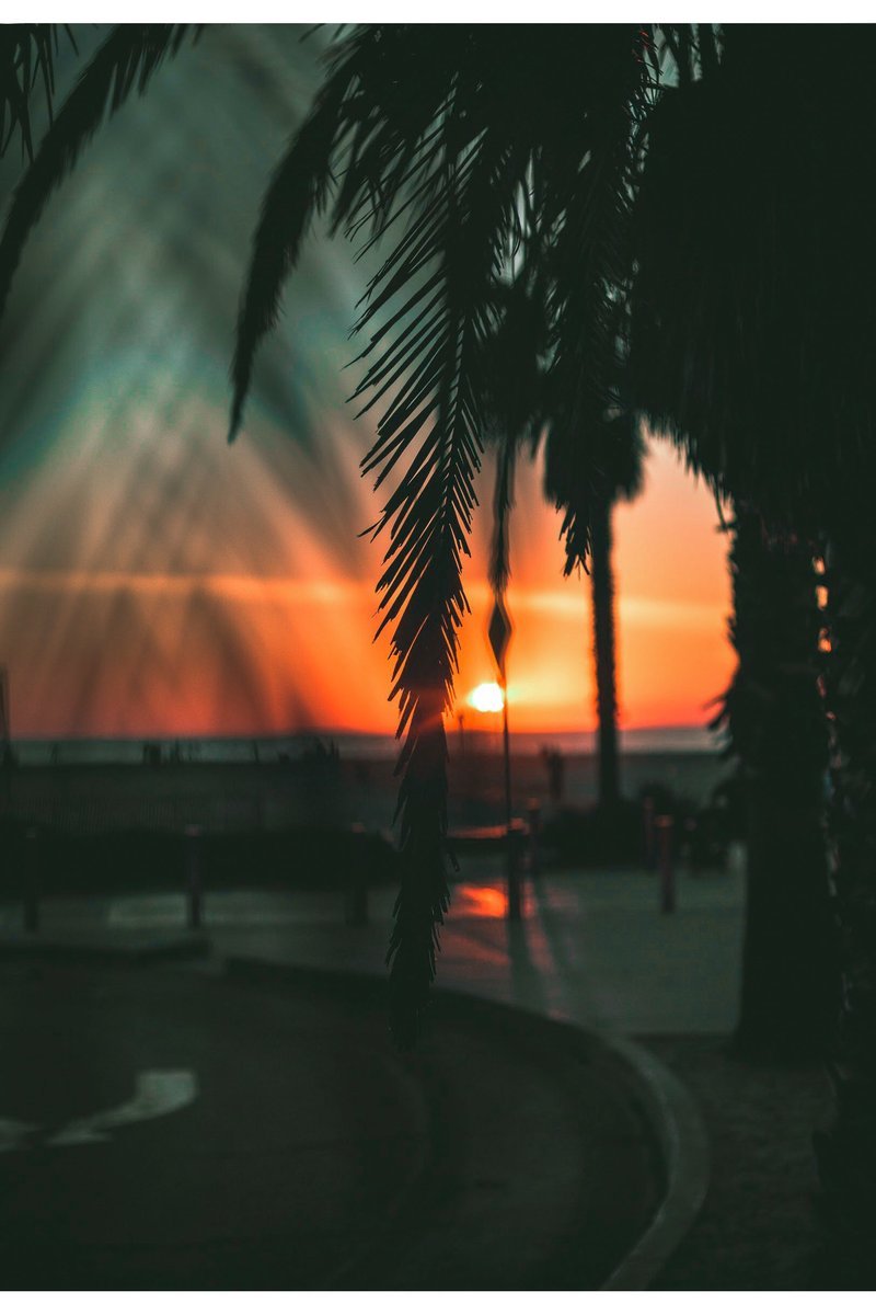 home-widget-image-text-2.jpg