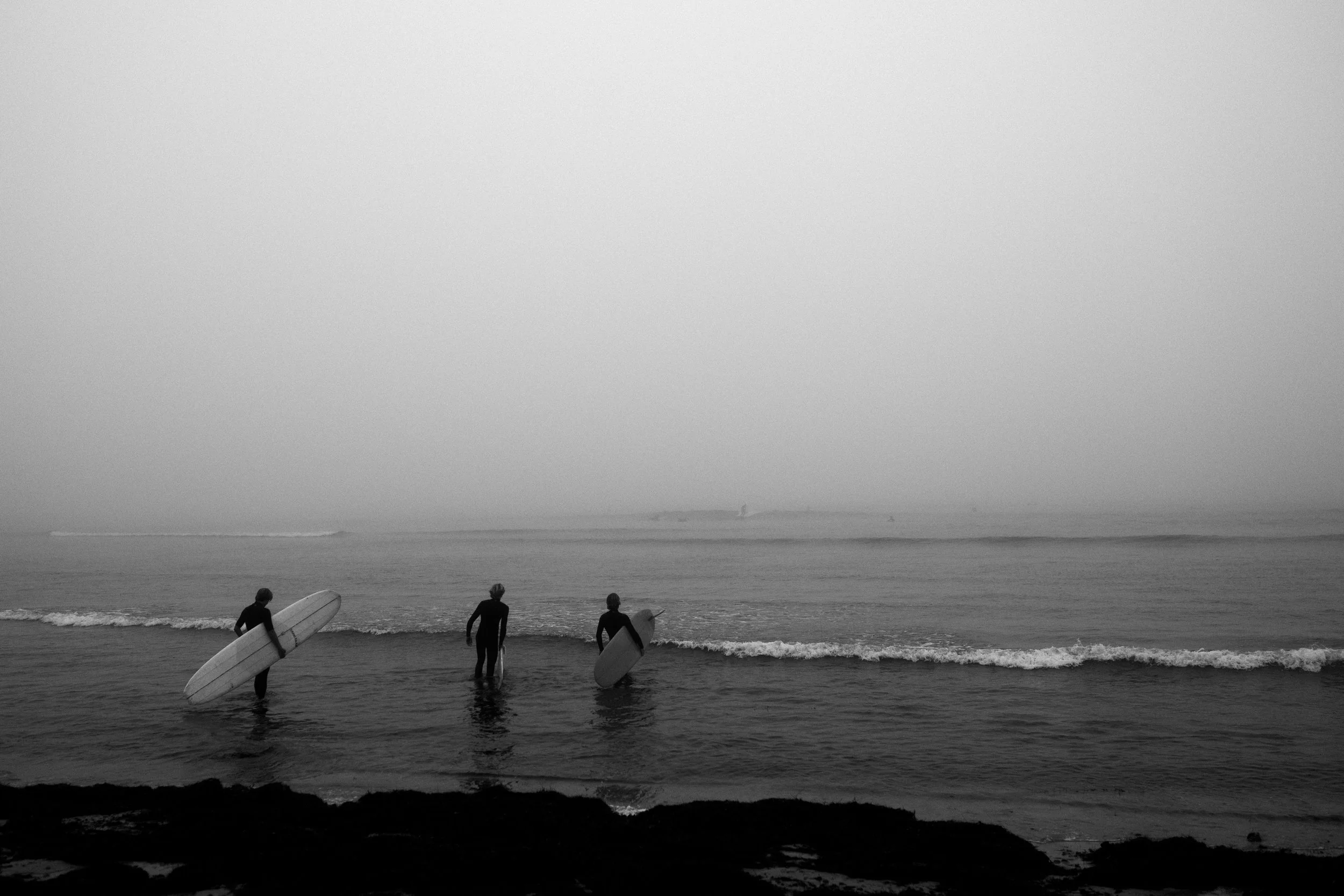 DSC_9725.JPG.jpg