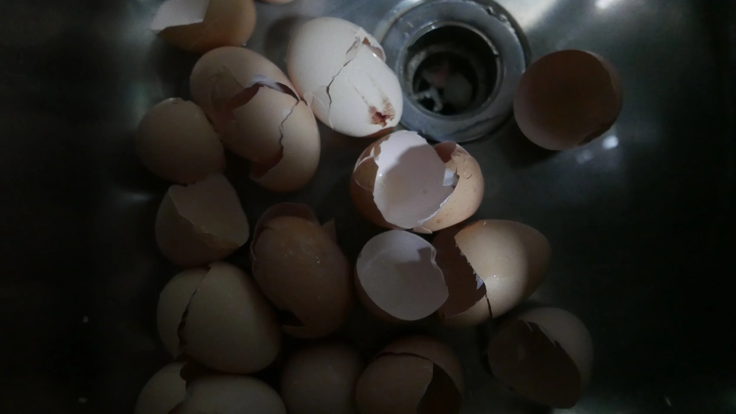 Cópia de L1000771.jpg