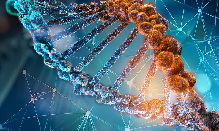 Gene and Cell Therapies