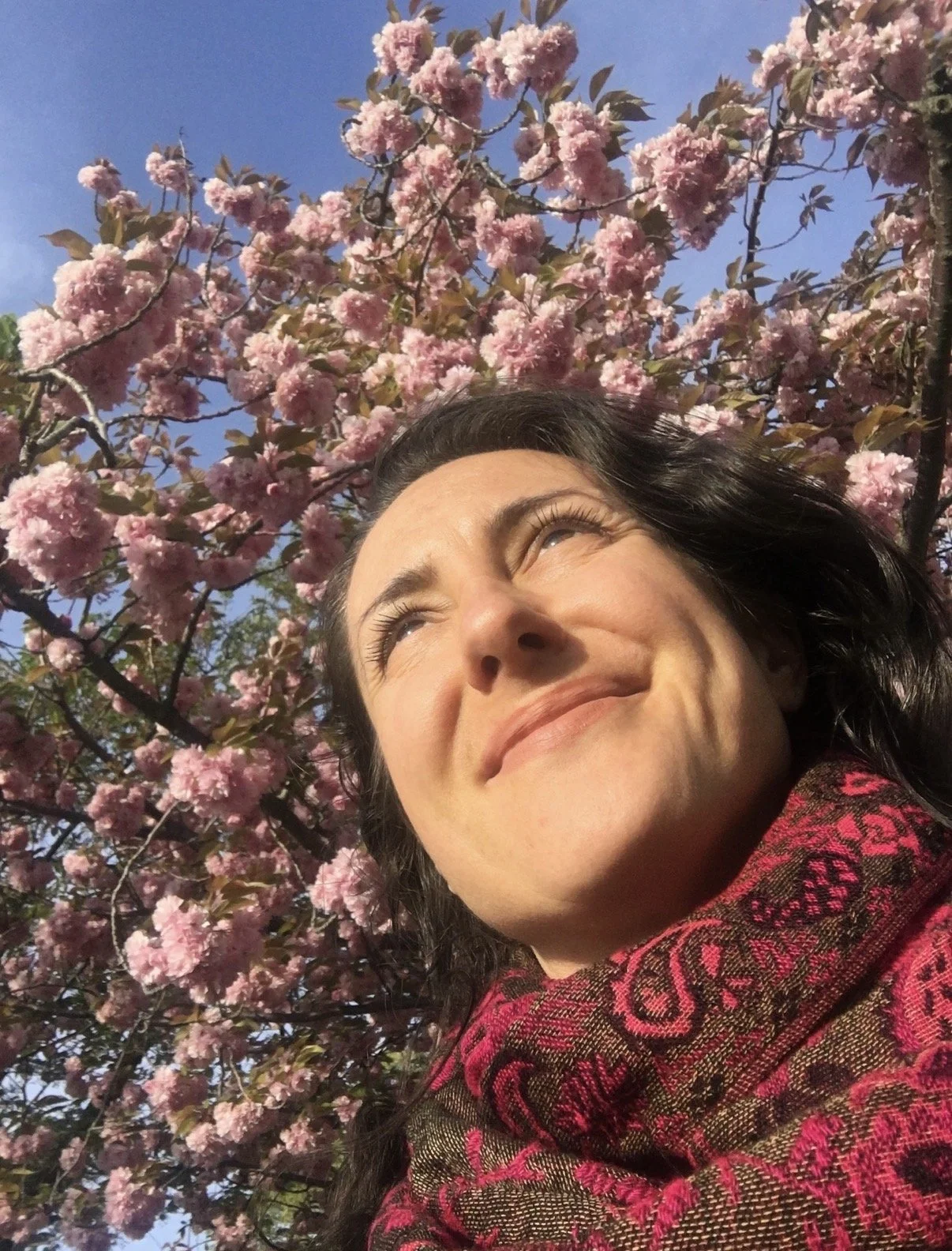 Spring is springing!