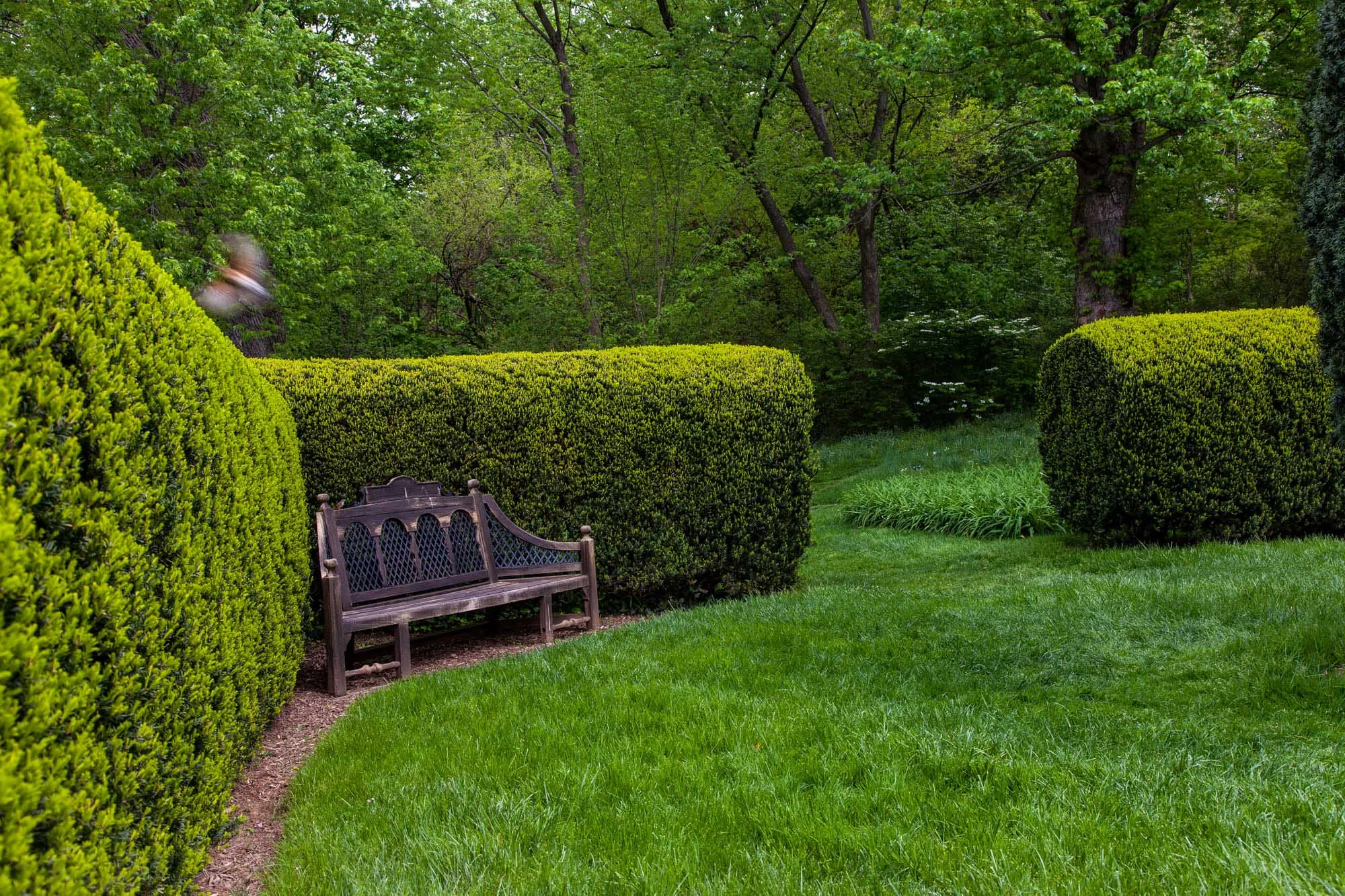 DumbartonOaks_BarrettDoherty_02.jpg