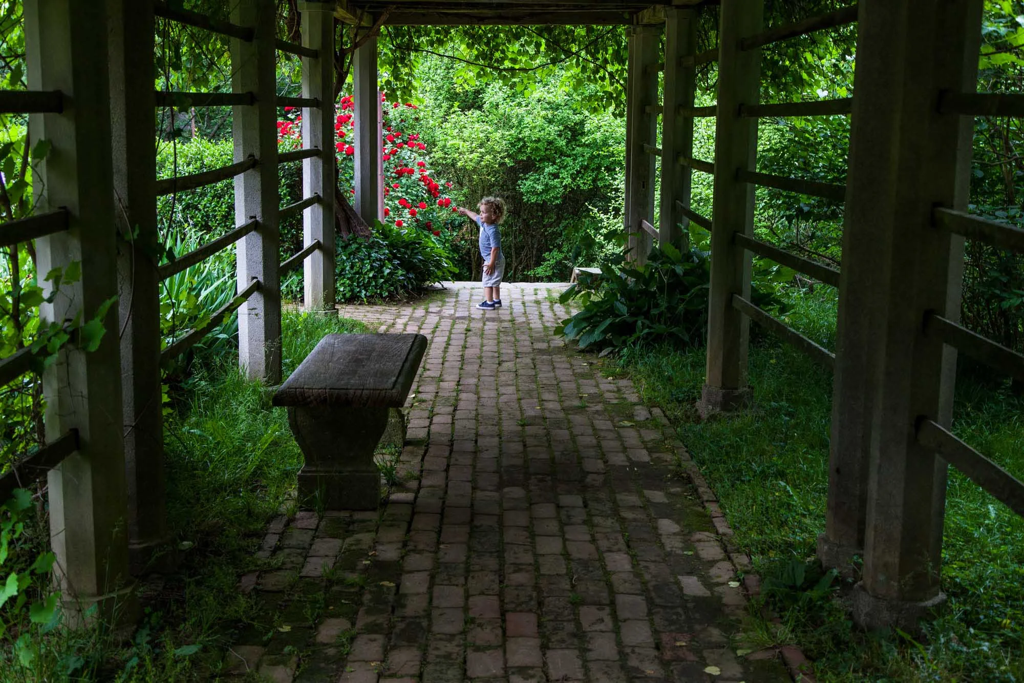 DumbartonOaks_BarrettDoherty_06.jpg