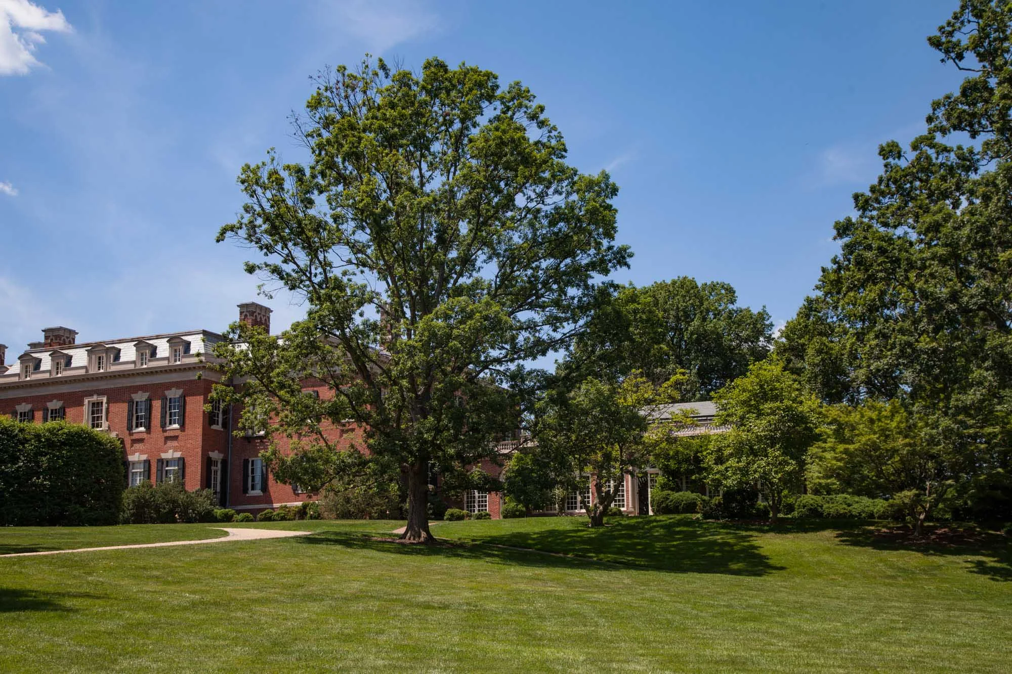 DumbartonOaks_BarrettDoherty_07.jpg