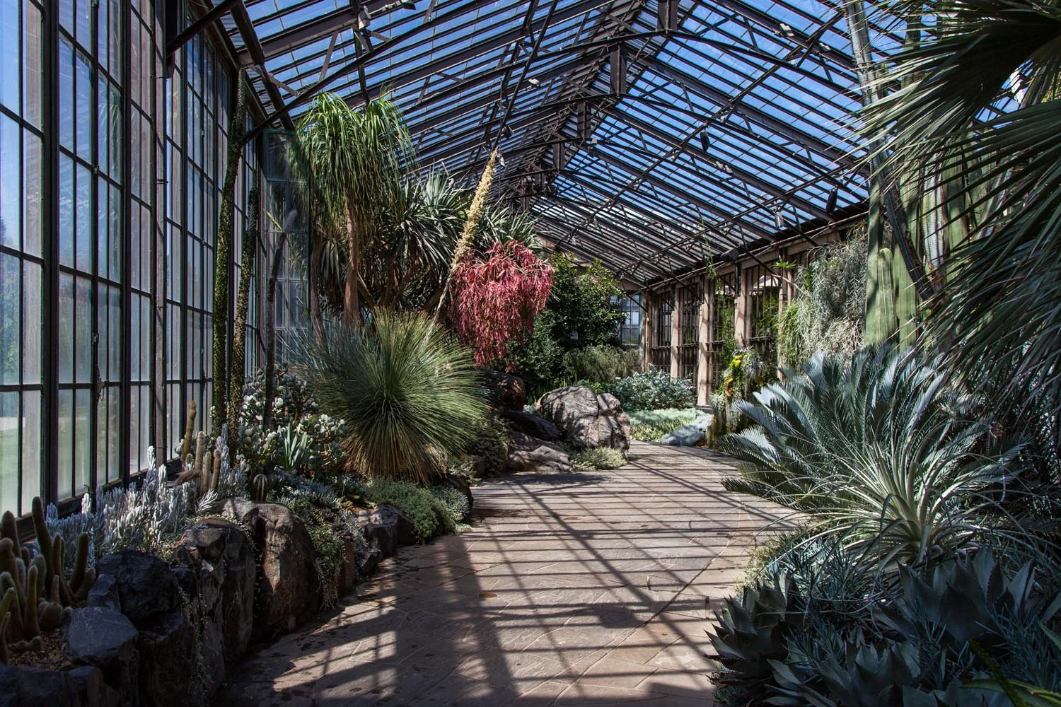 LongwoodGardens_BarrettDoherty_03.jpg