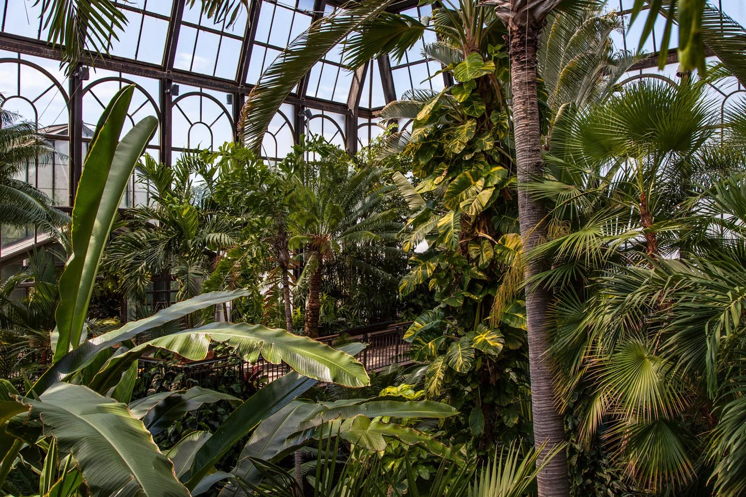 LongwoodGardens_BarrettDoherty_05.jpg