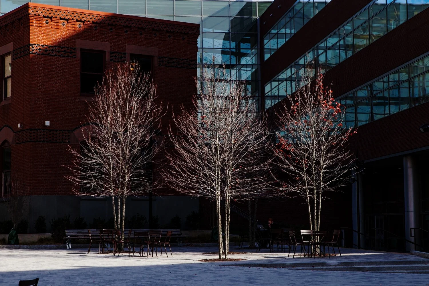 PerelmanPlaza_BarrettDoherty_11.jpg