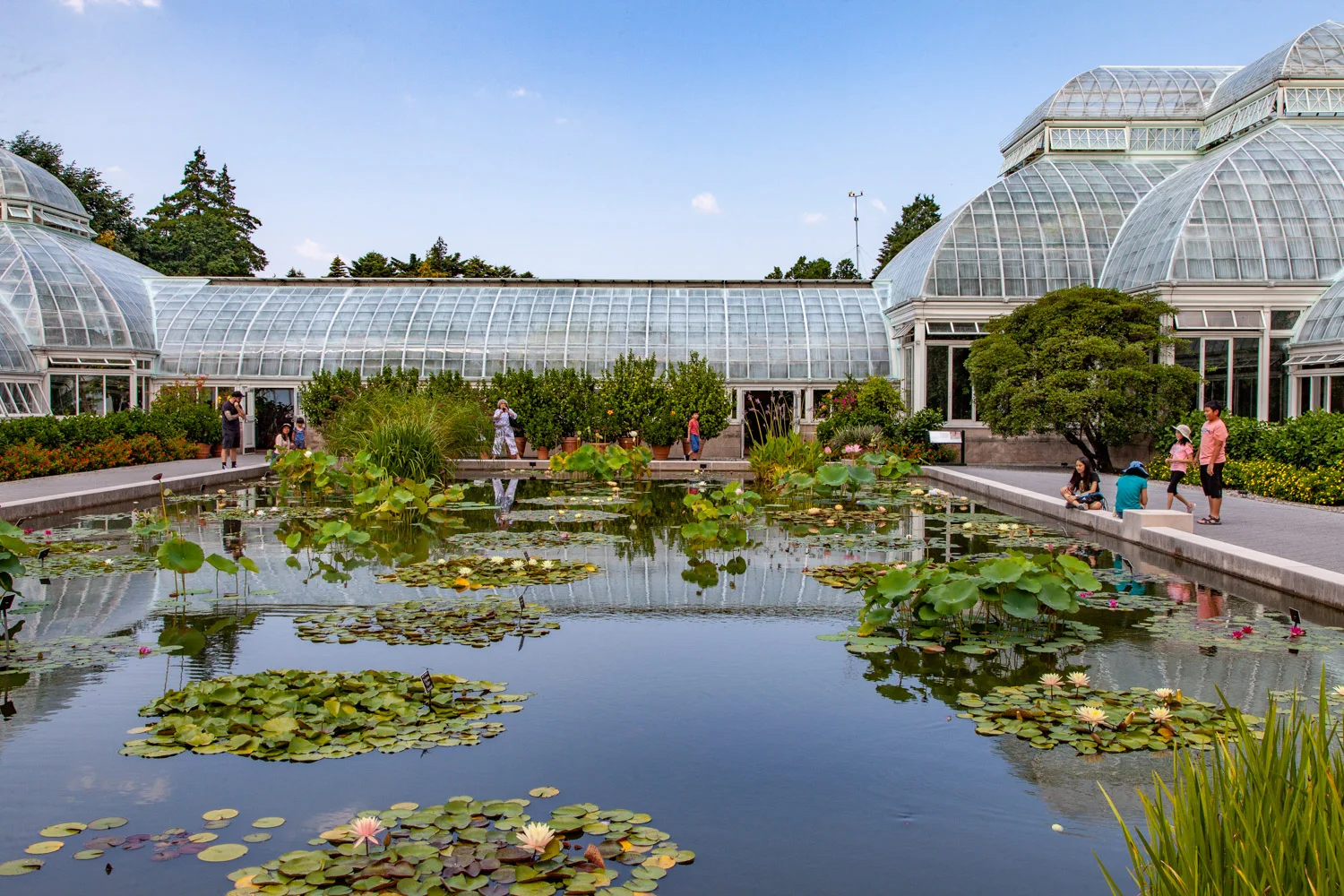 NYBG_04_BarrettDoherty_2018.jpg