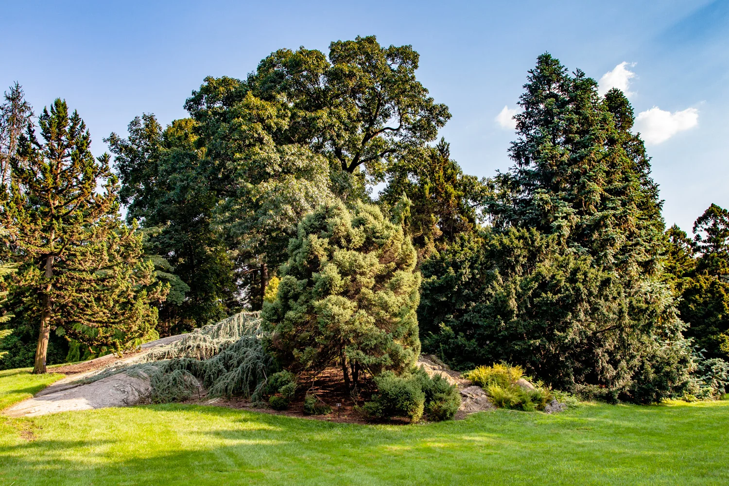 NYBG_07_BarrettDoherty_2018.jpg