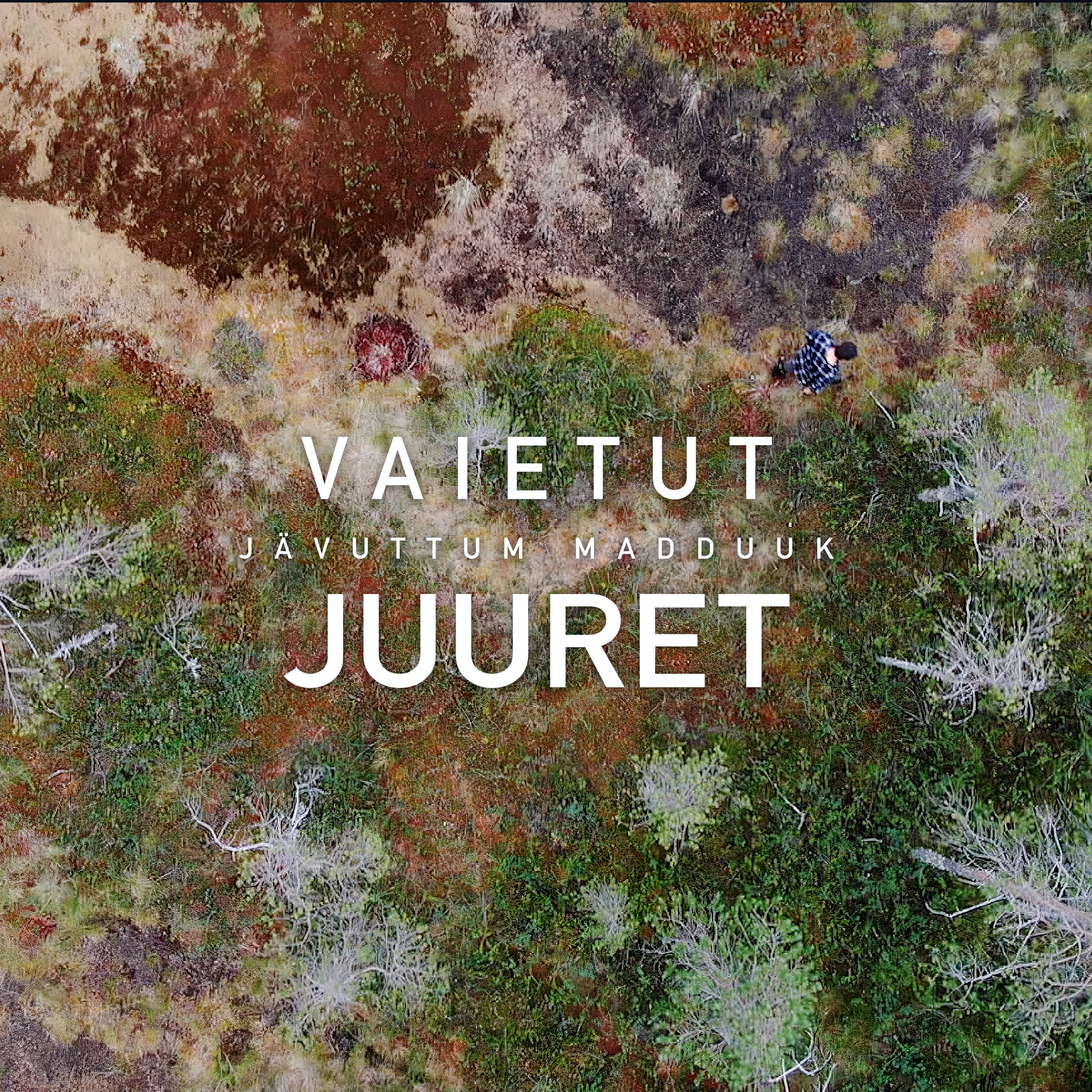 Vaietut Juuret - Jävuttum Madduuk (Original Soundtrack) 