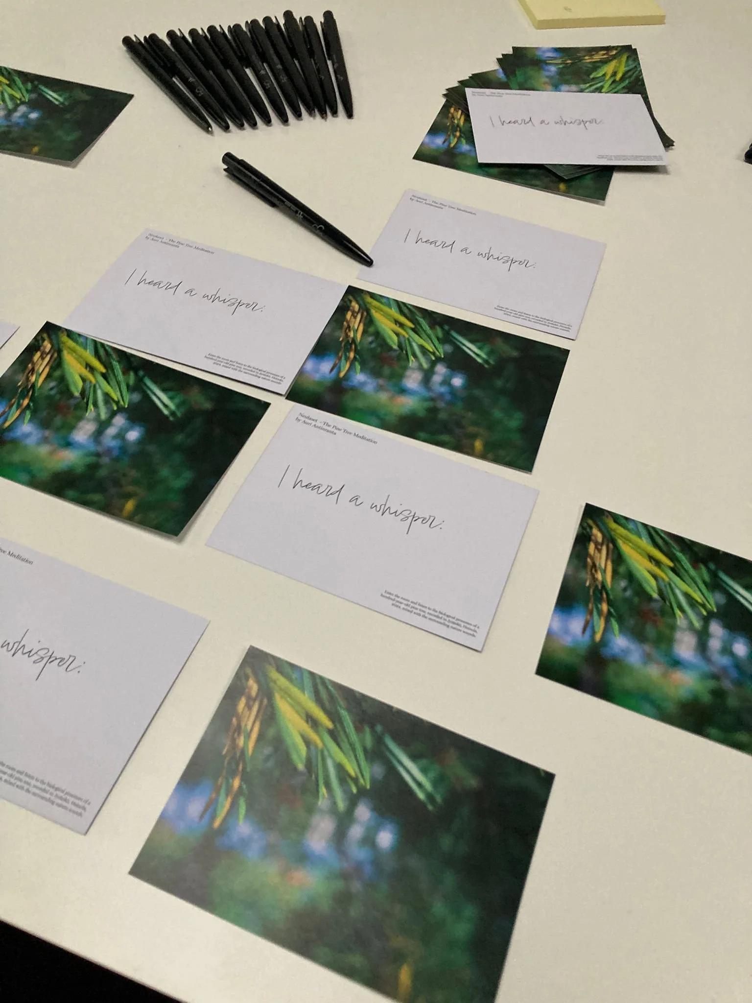 The Art of Pausing and Finding Inner Peace 