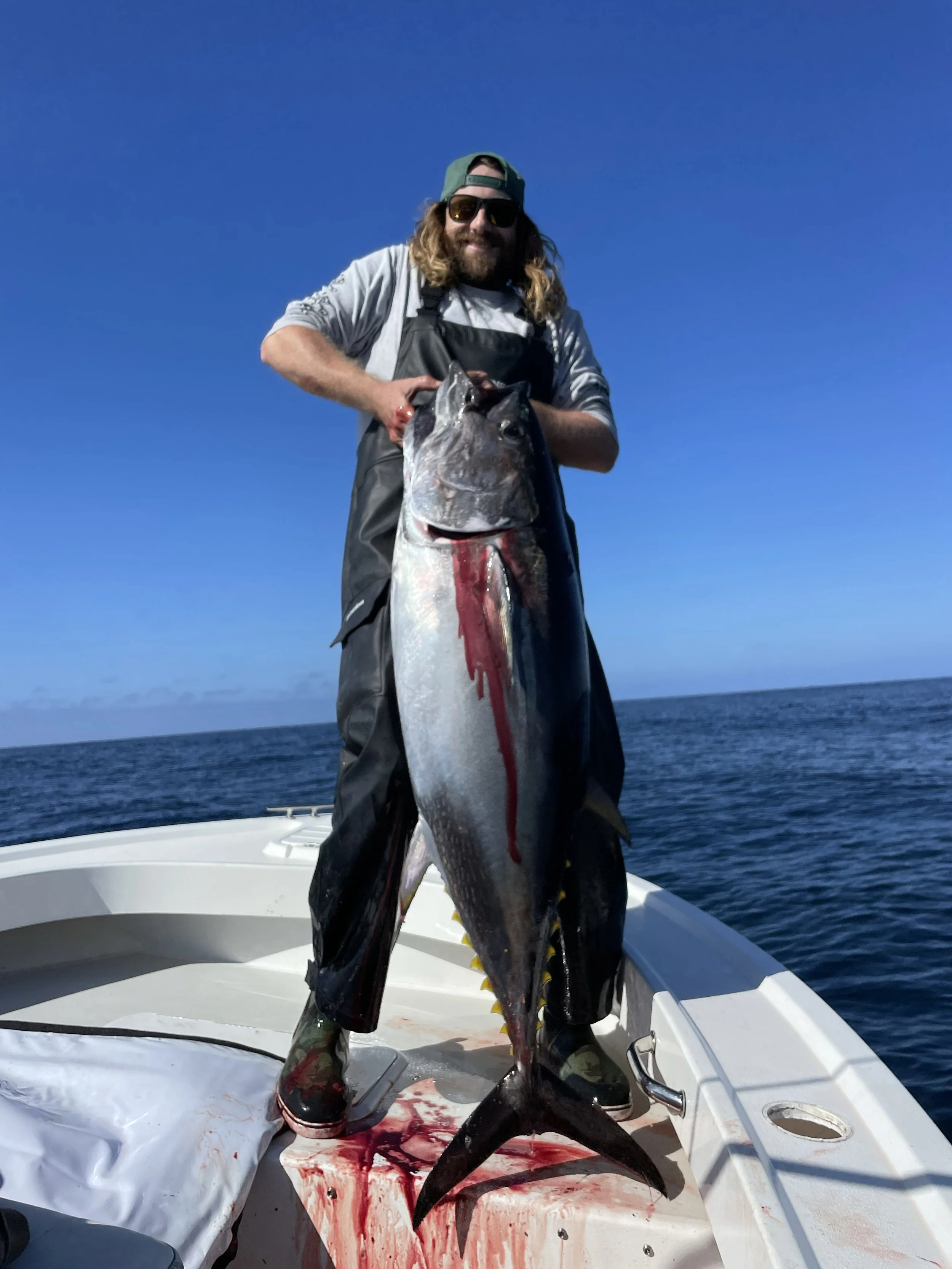  Bluefin tuna fishing in california 