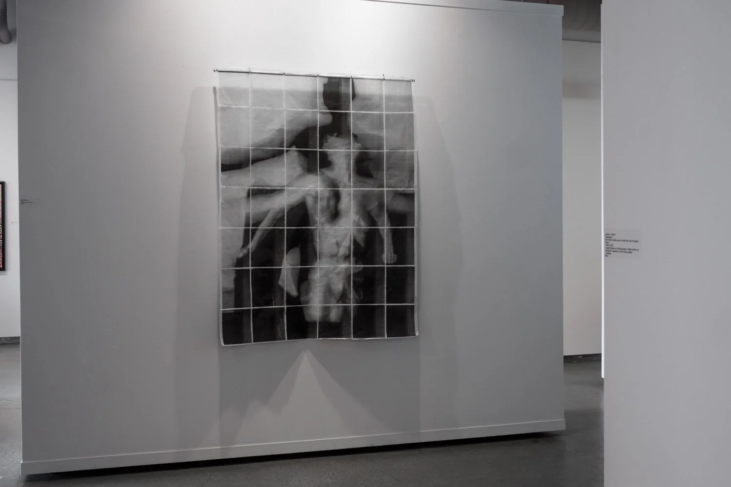 Roy G Biv Show Documentation_small-63.jpg