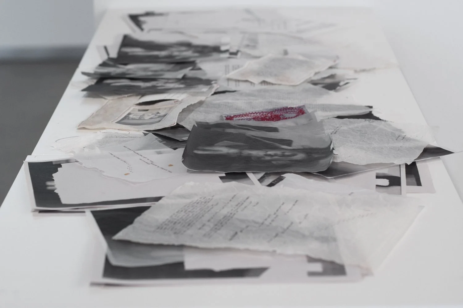 Roy G Biv Show Documentation_small-75.jpg