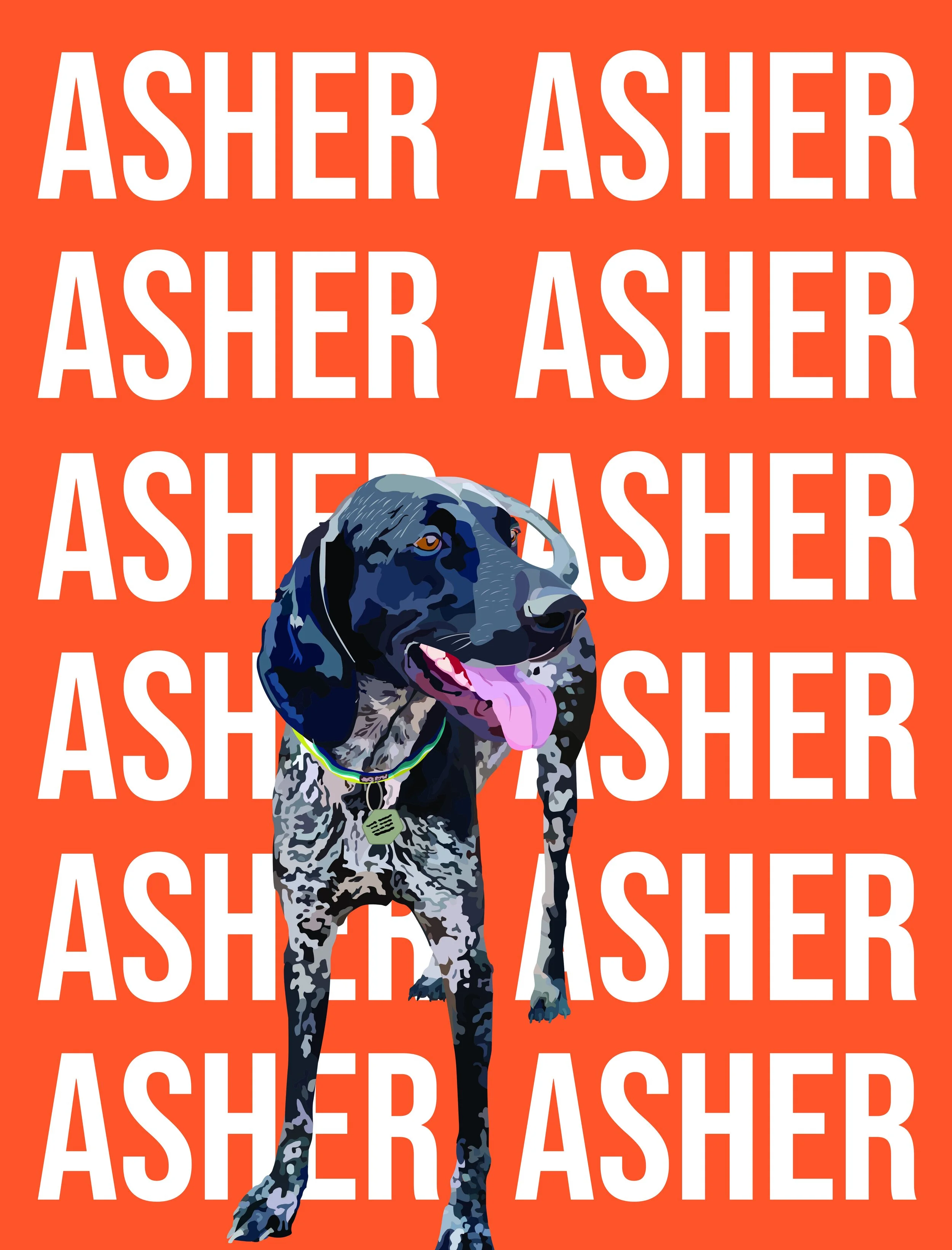 Asher Orange 2.jpg