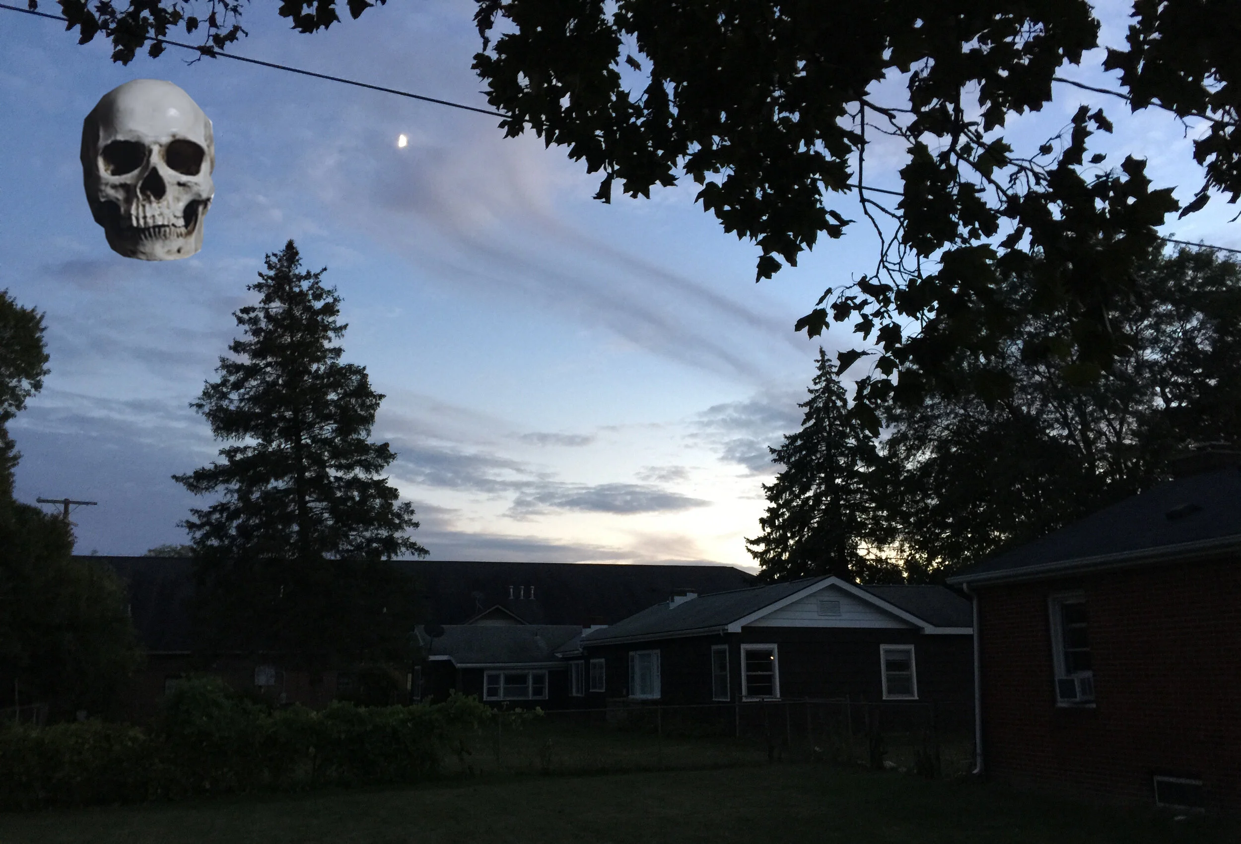 MOONLIGHT VERSION IIA ARTWORK.jpg